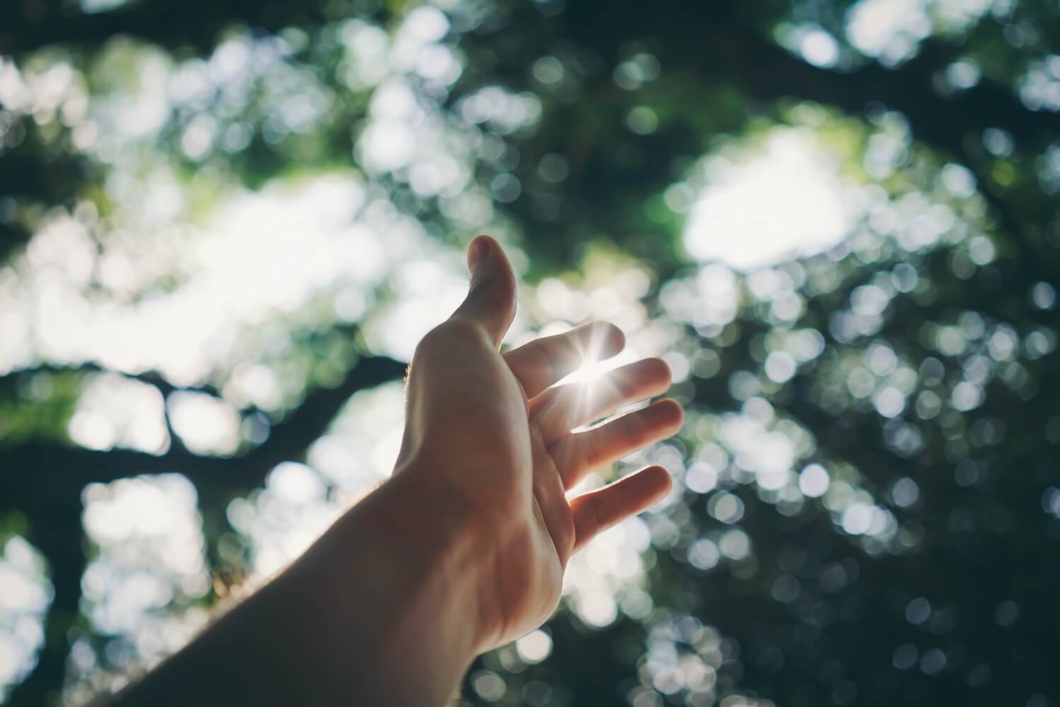 selective-focus-photography-of-hand-1654698 (1)