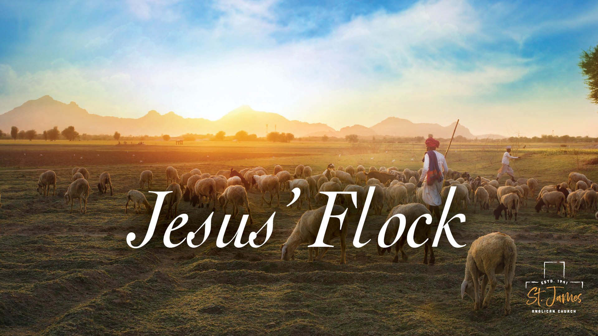 Jesus' Flock