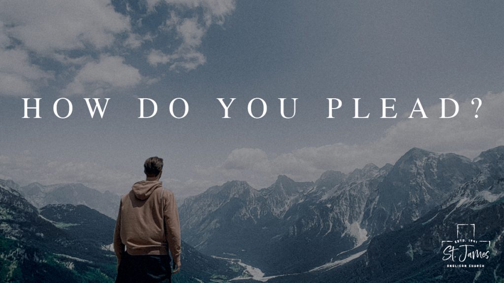 How Do You Plead?