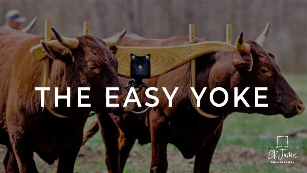 The Easy Yoke