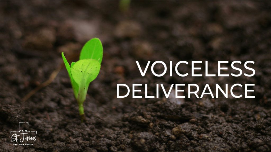 Voiceless Deliverance