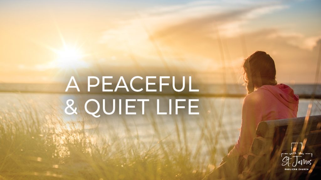 A Peaceful & Quiet Life