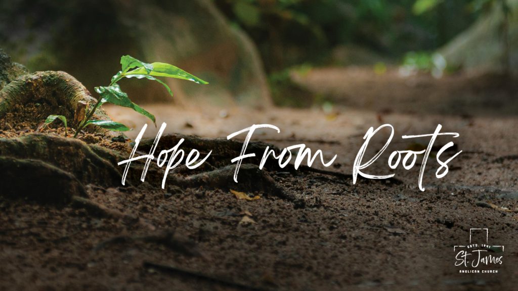 Hope From Roots