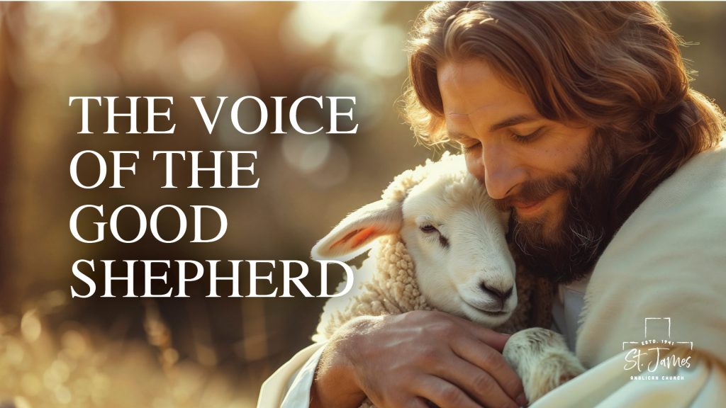 The Voice Of The Good Shepherd