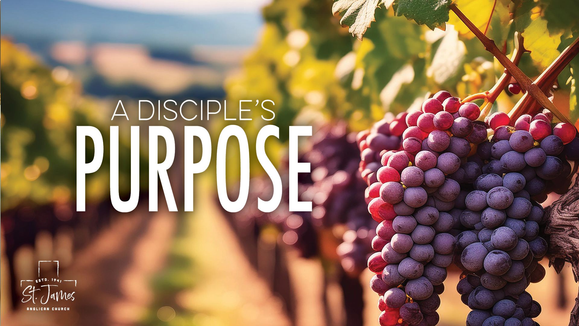 A Disciple's Purpose